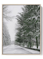 Winter Serenity - Snow-Covered Trees Canvas Wall Art