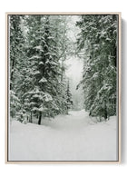 Enchanted Winter Path Poster - Snowy Forest Canvas Print