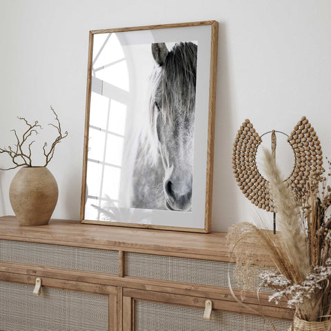 Soft Gray Horse Photography Art Print