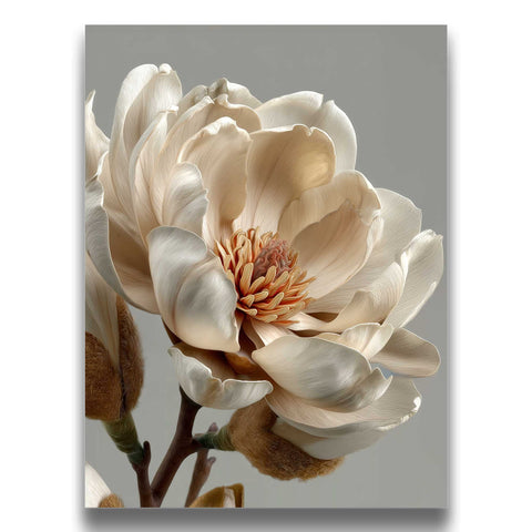 Soft beige magnolia flower print