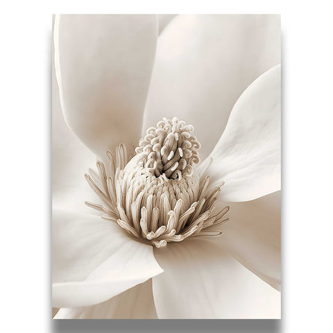 Soft cream and white color palette in a sophisticated botanical art print.