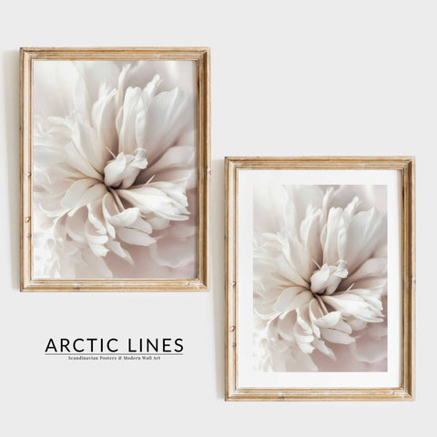 Soft cream and white color palette in a sophisticated botanical art print.