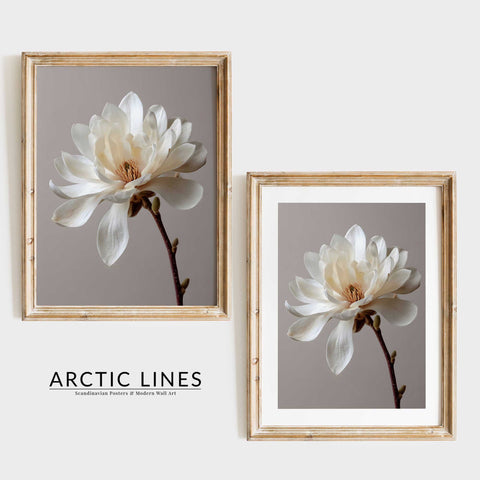 Soft neutral color palette in a sophisticated botanical line art print.