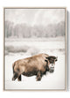 solitary Bison winter landscape poster