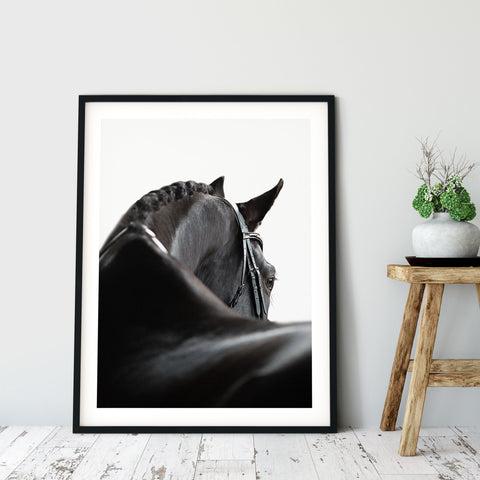 Sophisticated horse portrait for a neutral home decor scheme
