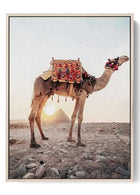 Desert Dusk Camel & Pyramid - Exotic Landscape Wall Art