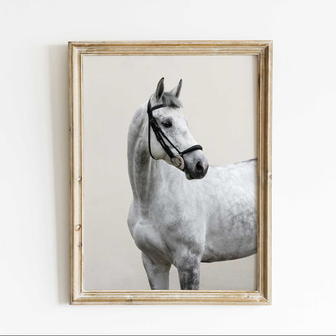 Timeless Horse Photography Print