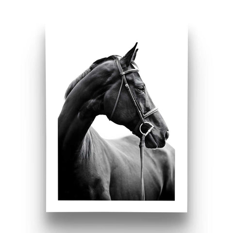 Timeless horse lover home decor