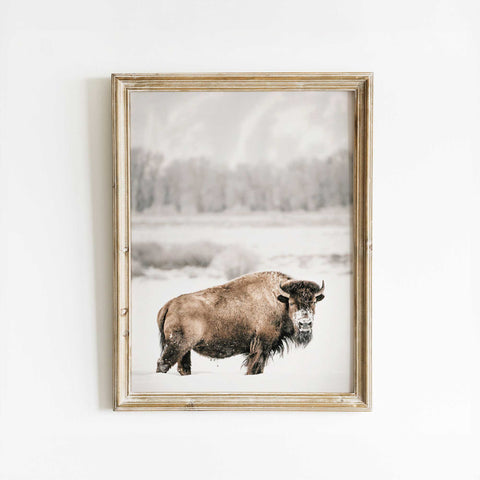 Animal Majesty Bison in Winter Scene Canvas Art Poster Decor