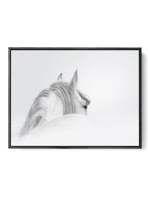 Tranquil Horse Wall Art