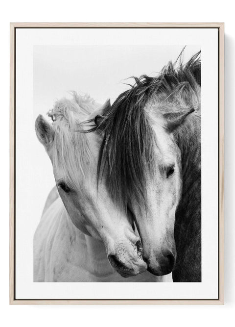 Two horses black and white wall art print