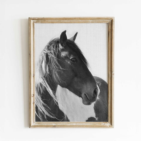 Vintage Black and White Horse Poster
