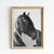 Vintage Black and White Horse Poster