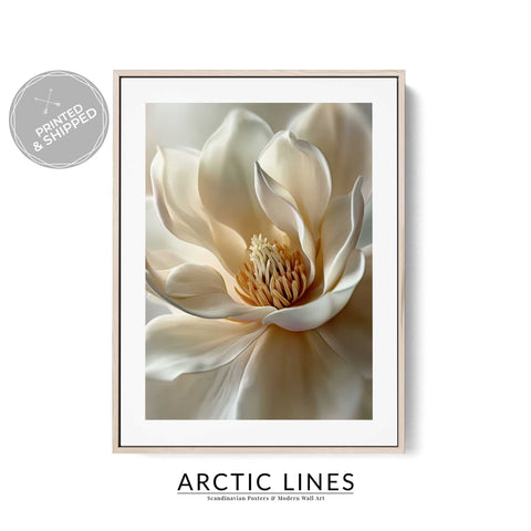 Warm golden center magnolia print