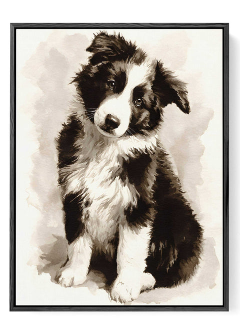 Watercolor Border Collie dog portrait