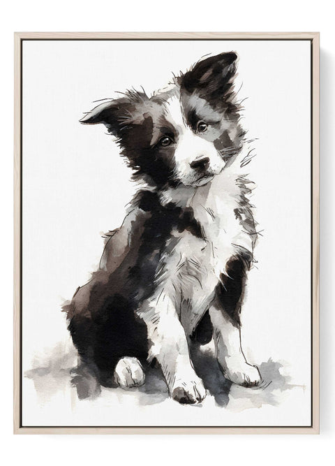 Watercolor Border Collie dog portrait wall art