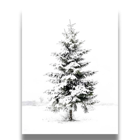 White and cool grey color palette in a sophisticated botanical line art print.