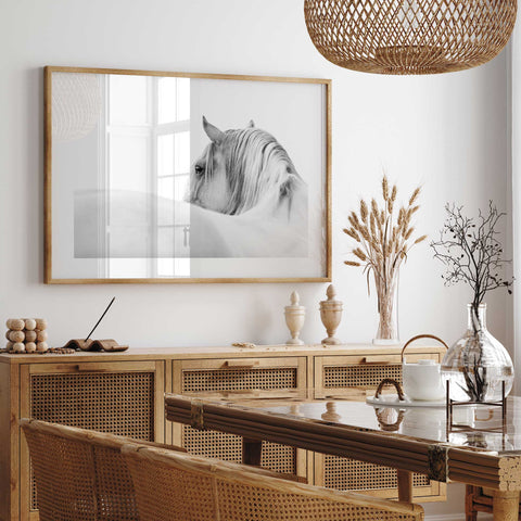 White horse portrait black and white wall art