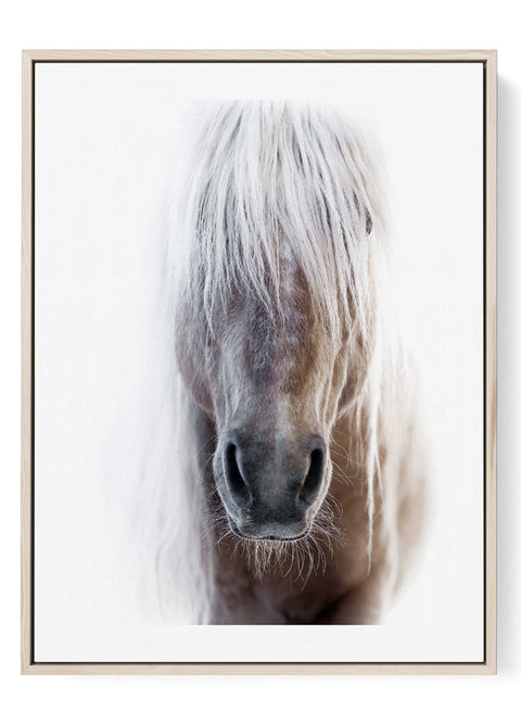 White horse portrait wall art print