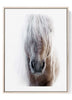 White Horse Portrait Print – Minimalist Equestrian Wall Art