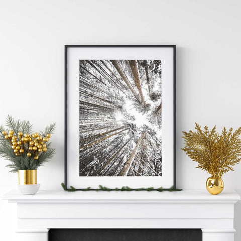 Skyward Snowy Forest Canopy Poster - Winter Treetops Wall Art - oakposter