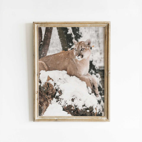 Winter Wildlife Snow Leopard Poster Artistic Canvas Decor