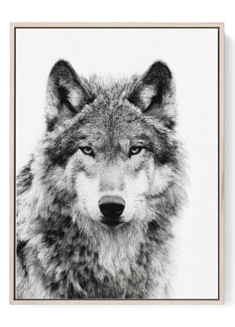 Wolf Wall Art Print gray portrait intense eyes