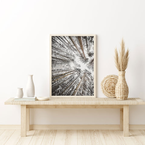 Skyward Snowy Forest Canopy Poster - Winter Treetops Wall Art - oakposter