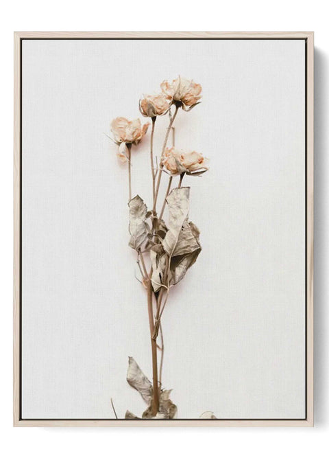 Dried Flowers Elegant Canvas