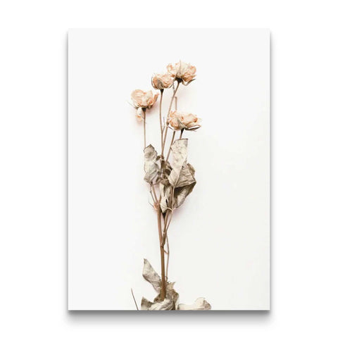 Eternal Grace Dried Roses Art