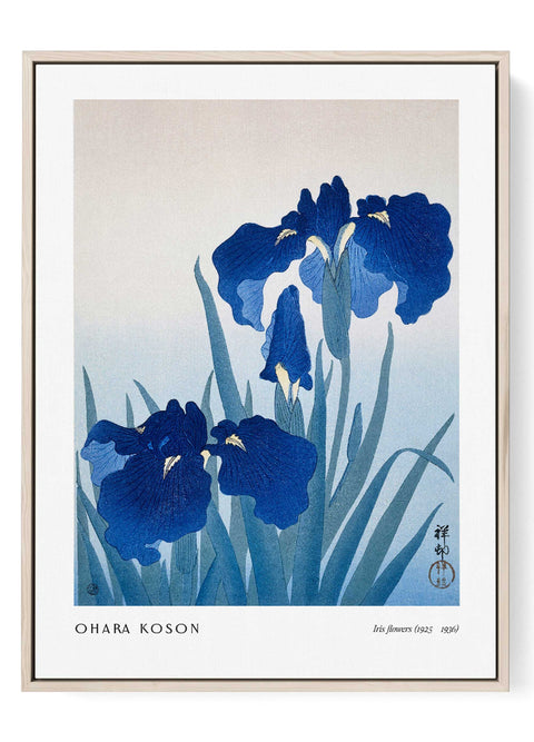 ohara koson iris flowers art print