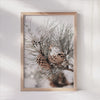 Frosty Pinecone Home Decor