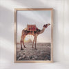 Camel Journey Wall Art - Egyptian Sunset Scene