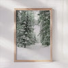 Snowy Tree Path - Winter Wonderland Canvas