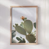 Desert Elegance - Prickly Pear Blooming Wall Art