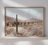Desert Wilderness Scene - Saguaro Cactus Poster