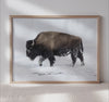 Nature's Majesty - Snow-Covered Bison Art