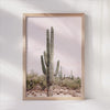 Peaceful Saguaro - Desert Cactus Art