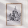 Silent Snow Pines - Winter Wonderland Canvas