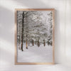 Nordic Winter Trees Canvas