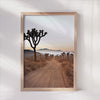 Sunset Silhouettes - Joshua Tree Desert Road Print