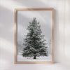 Snowy Solitude - Winter Tree Canvas Art