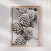 Snow-Dusted Pine Cones Artwork – Serene Home Accent