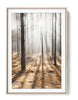 Autumn Trees Poster