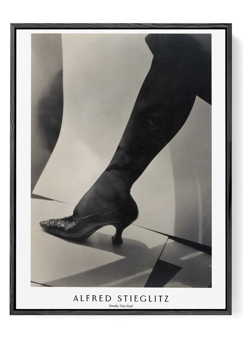 vintage stieglitz photo wall art poster