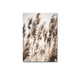 Beige Reeds on the Beach Poster - Nature Prints online - oakposter.ca