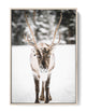 Winter Reindeer Poster - oakposter