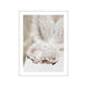 Beautiful Hands and Feather Poster - Wall Prints
