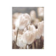 Tulip Buds Art Print - Nature posters online - oakposter.ca