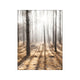 Nature & Botanical Photography Prints Online - Autumn Trees Poster